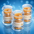 Premium Eco-Friendly Bamboo Toothpicks in Clear Portable Dispenser